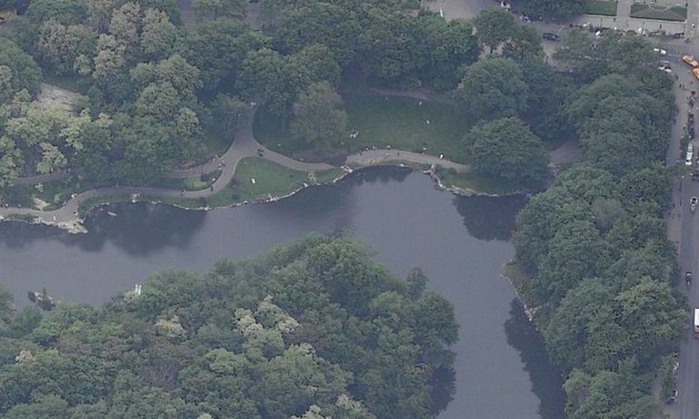 central park the pond: central park the pond